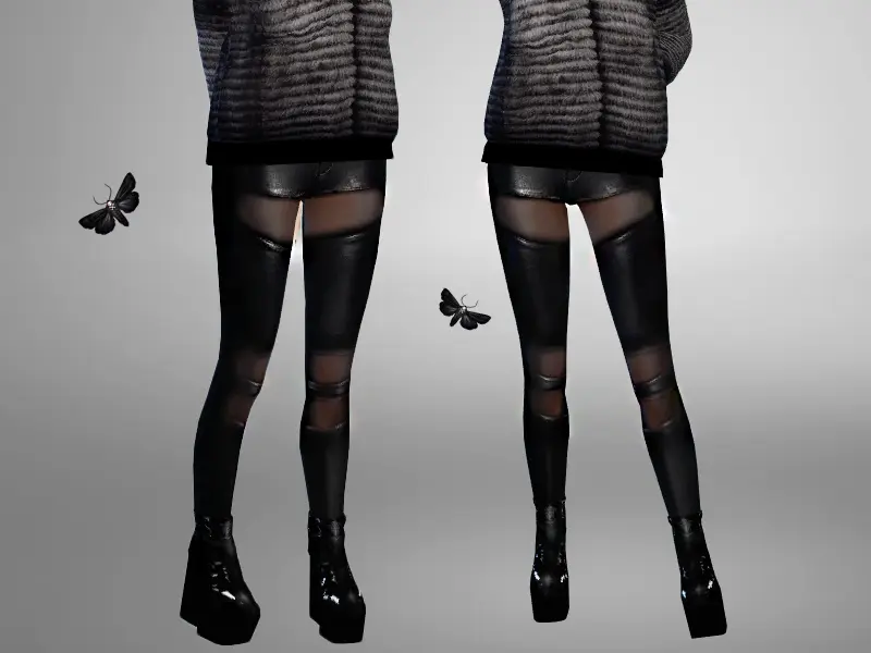 2664725.webp 2664725