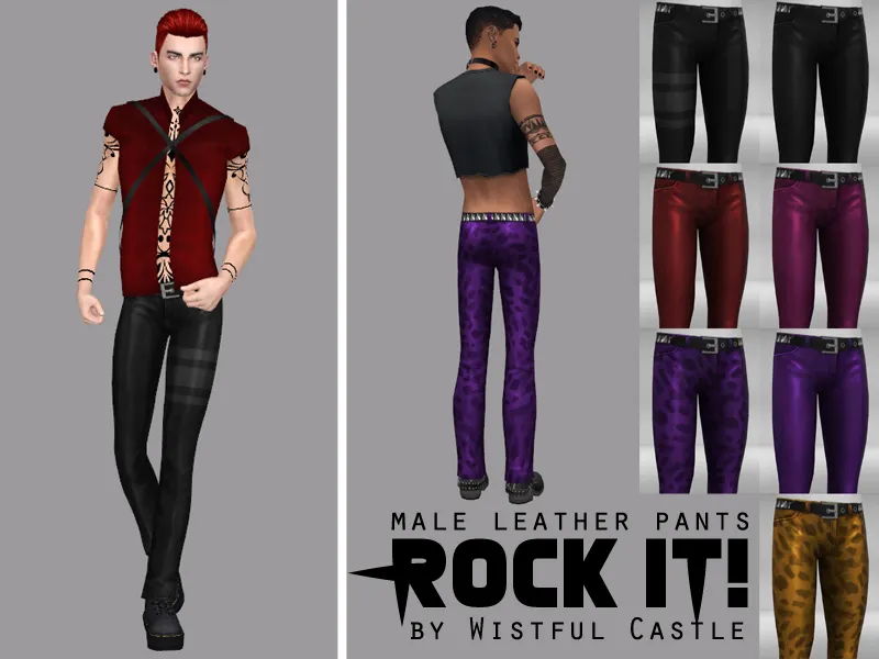 Rock it! - male leather pants
