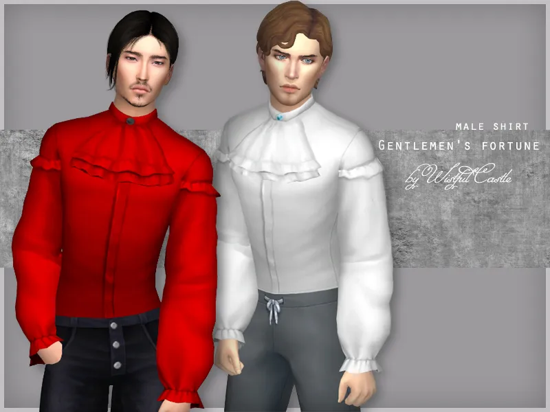 Gentlemen's fortune - male shirt