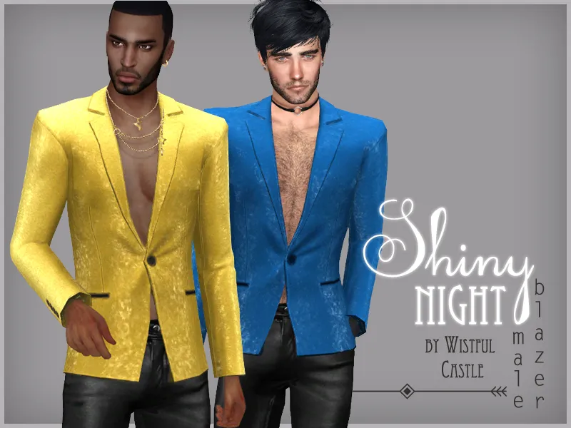 Shiny Night - male blazer
