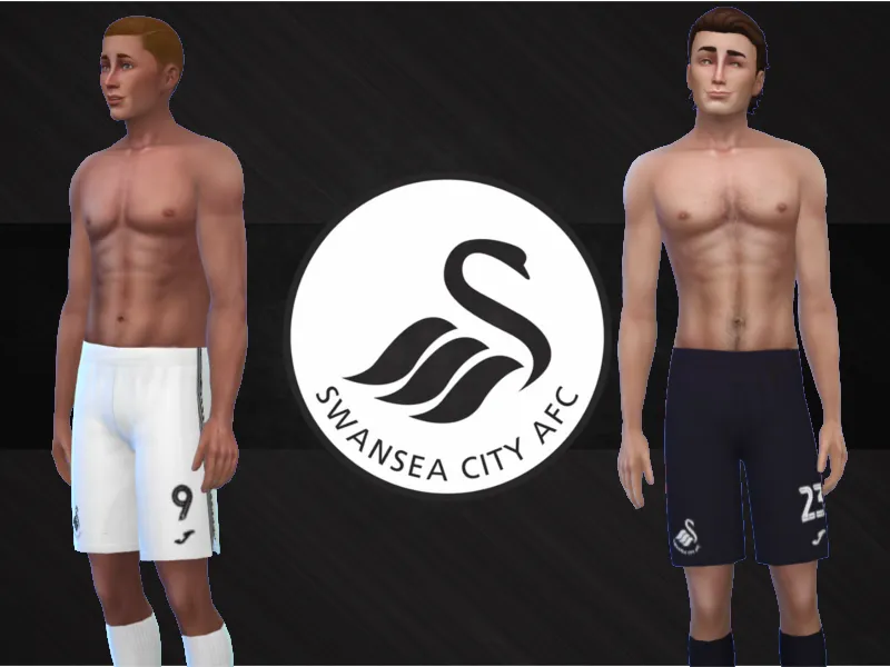 Swansea city shorts 2018/19 fitness needed