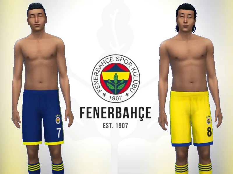 Fenerbahce SK shorts 2019/20  fitness needed