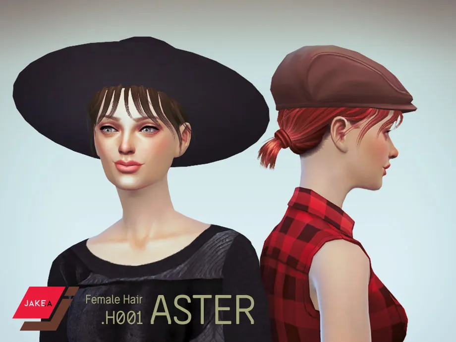 JAKEA - H001 - Female Hair - ASTER