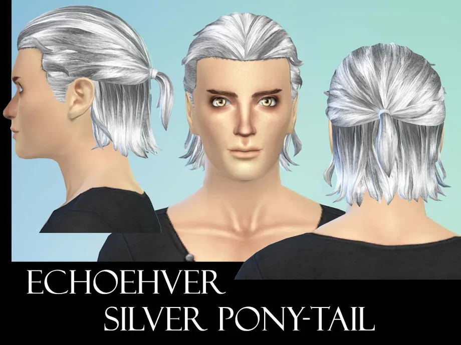 Echoehver Male Pony-Tail Recolor - Get Together needed