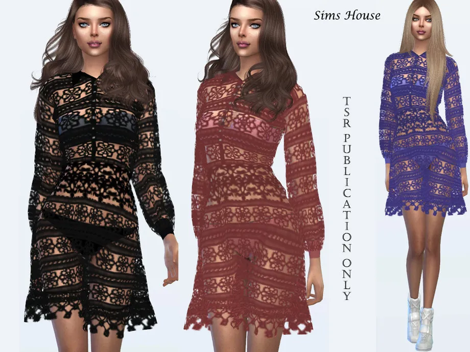 Long sleeve lace dress