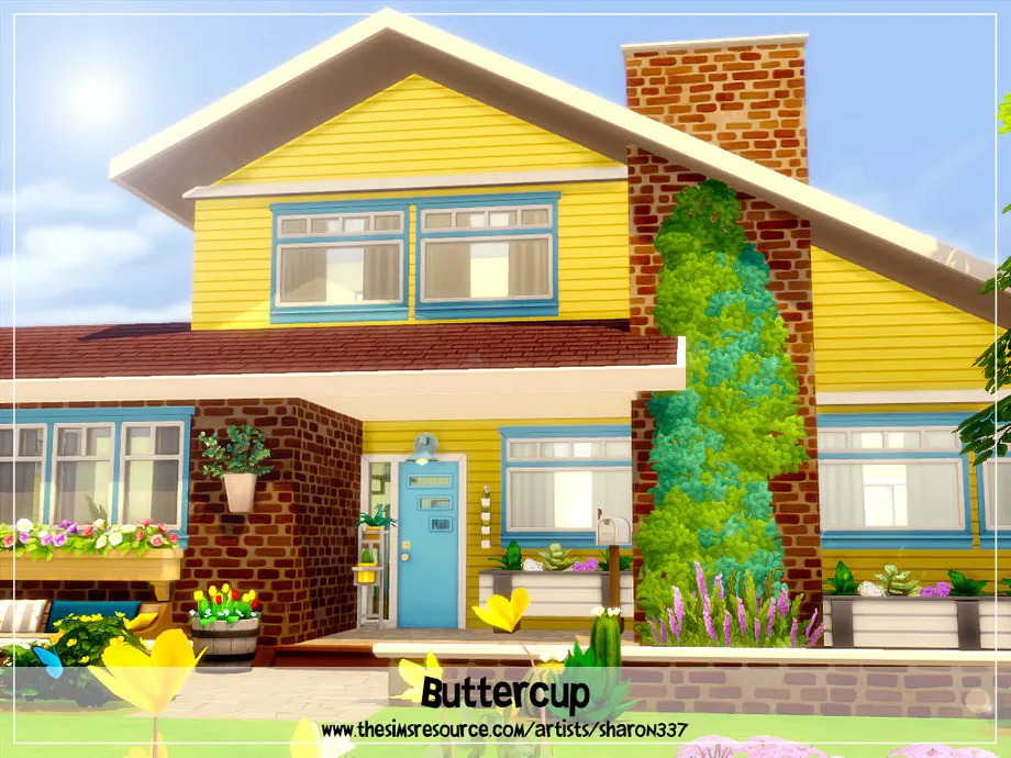 Buttercup - Nocc