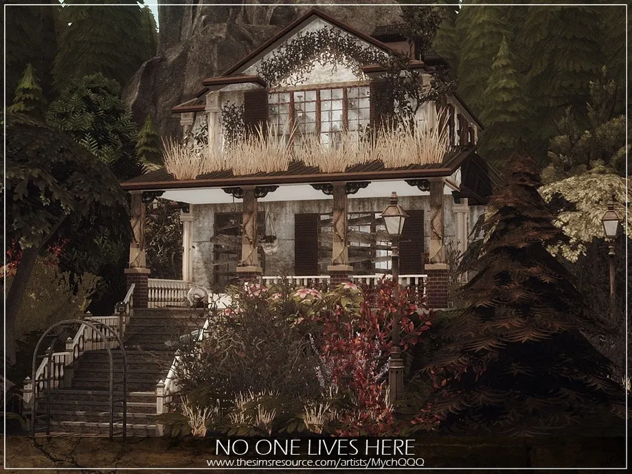 No One Lives Here