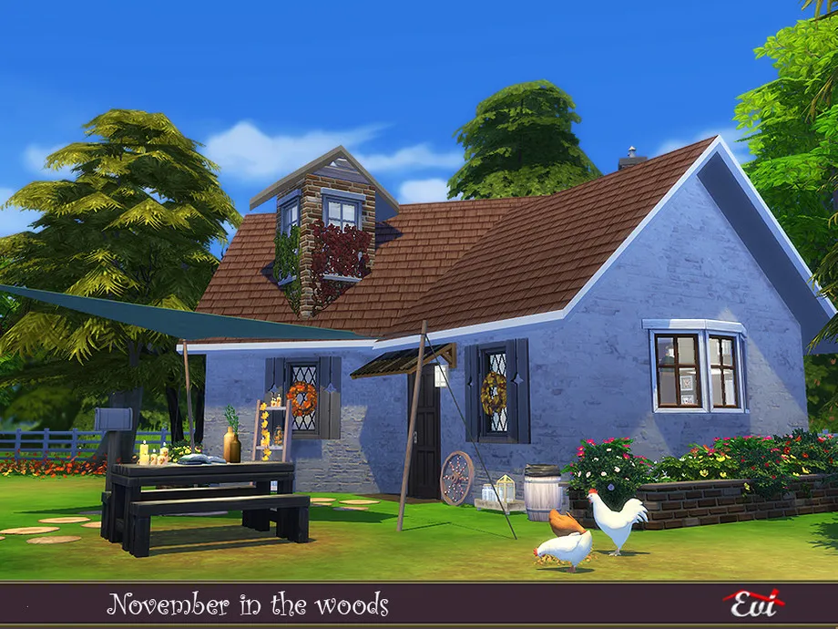 November in the woods