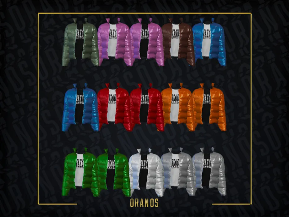 Puffer Jacket With Shirt