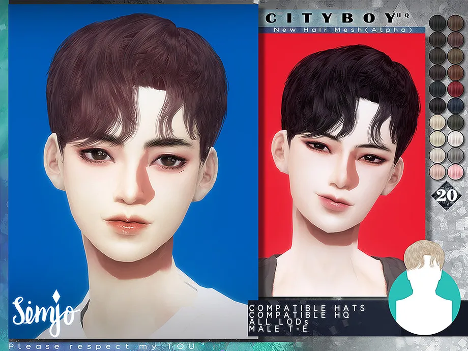 TS4 Male Hairstyle_Cityboy