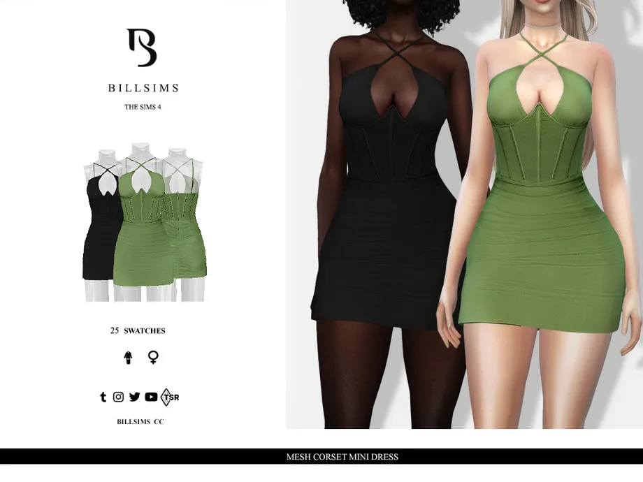 Mesh Corset Mini Dress