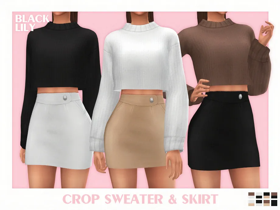 Crop Sweater & Skirt