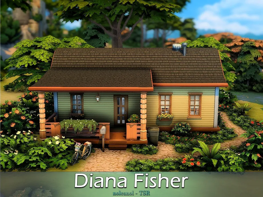 Diana Fisher / No CC