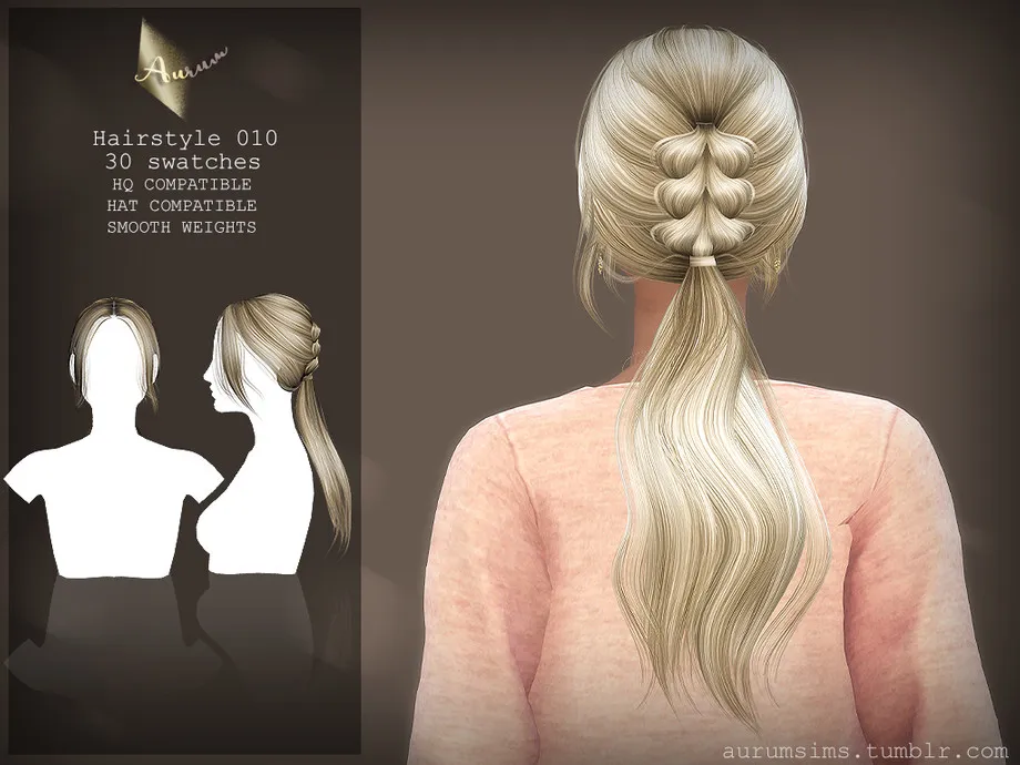 Ponytail Hairstyle 010