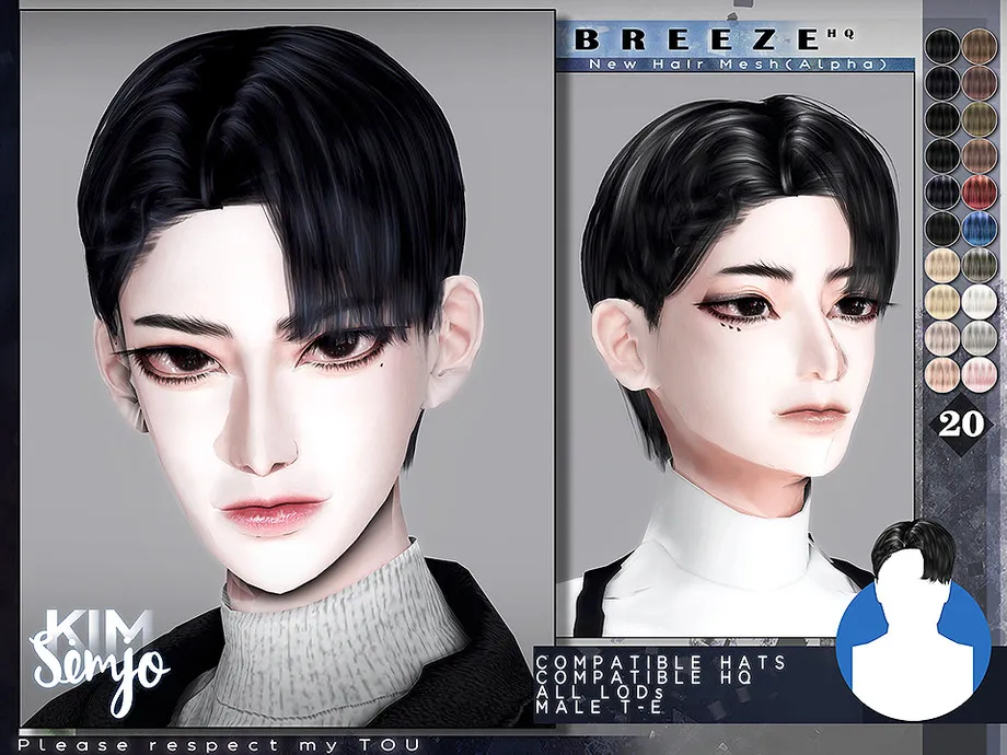 TS4 Male Hairstyle_Breeze