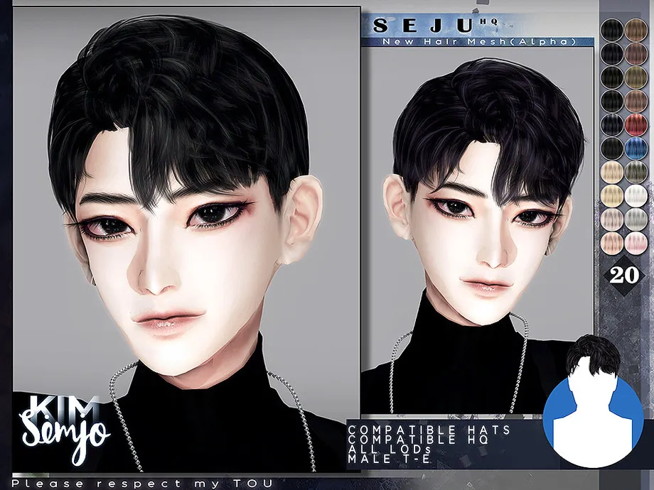 TS4 Male Hairstyle_Seju