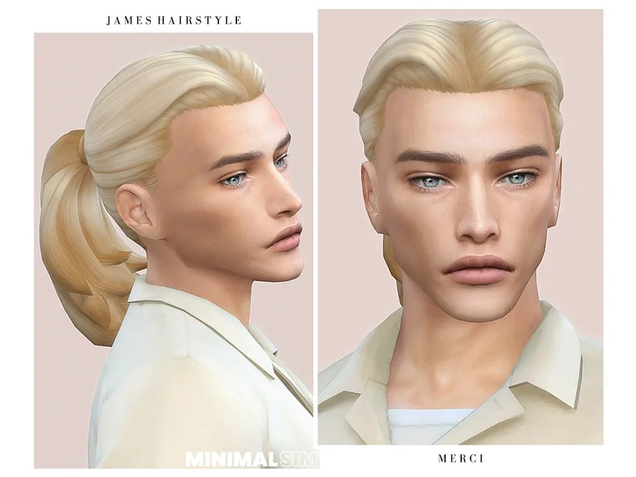 MinimalSim James Hairstyle