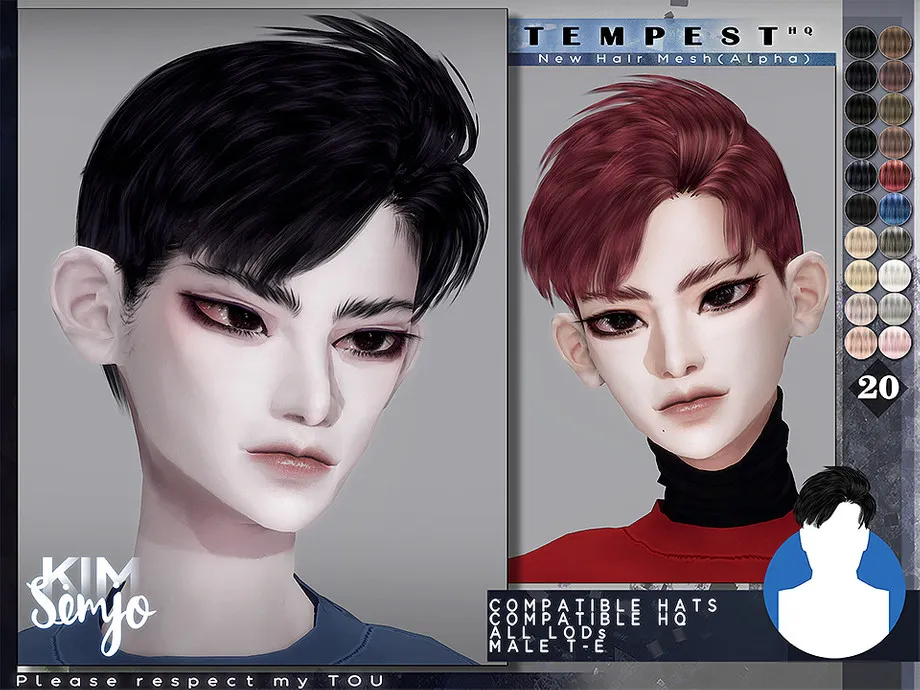 TS4 Male Hairstyle_Tempest