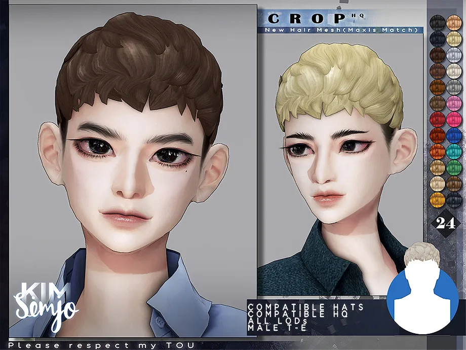 TS4 Male Hairstyle_Crop(Maxis Match)