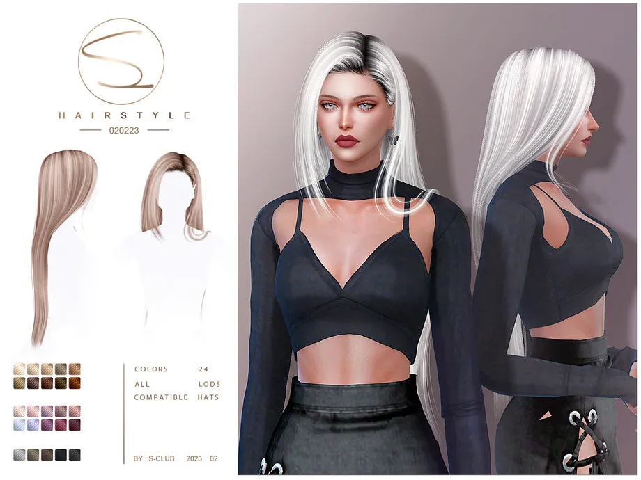 Long straight hairstyle(Ana 020223)