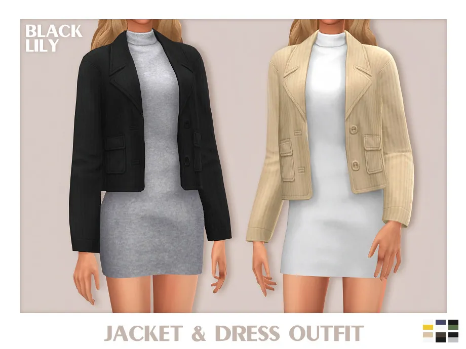 Jacket & Dress Outfit