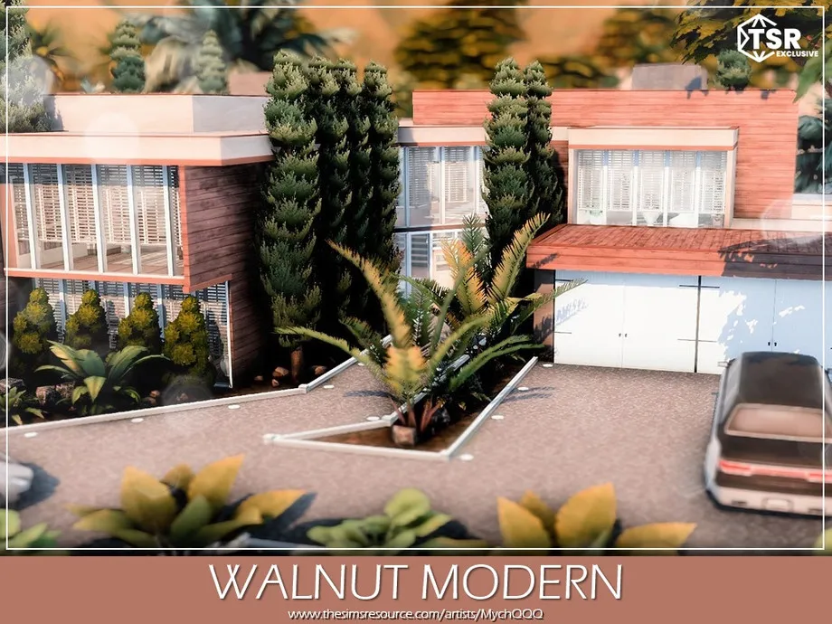 Walnut Modern