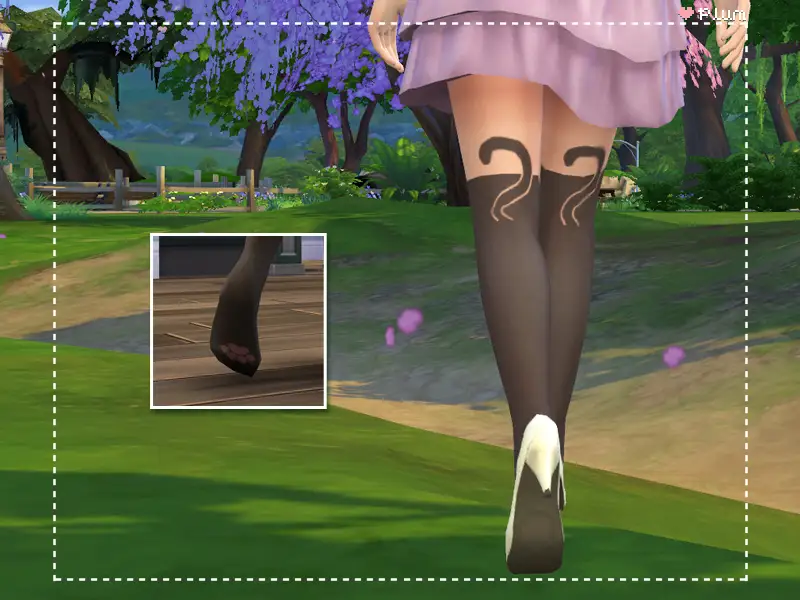 We Are Cat People: Women's Kitty Tights