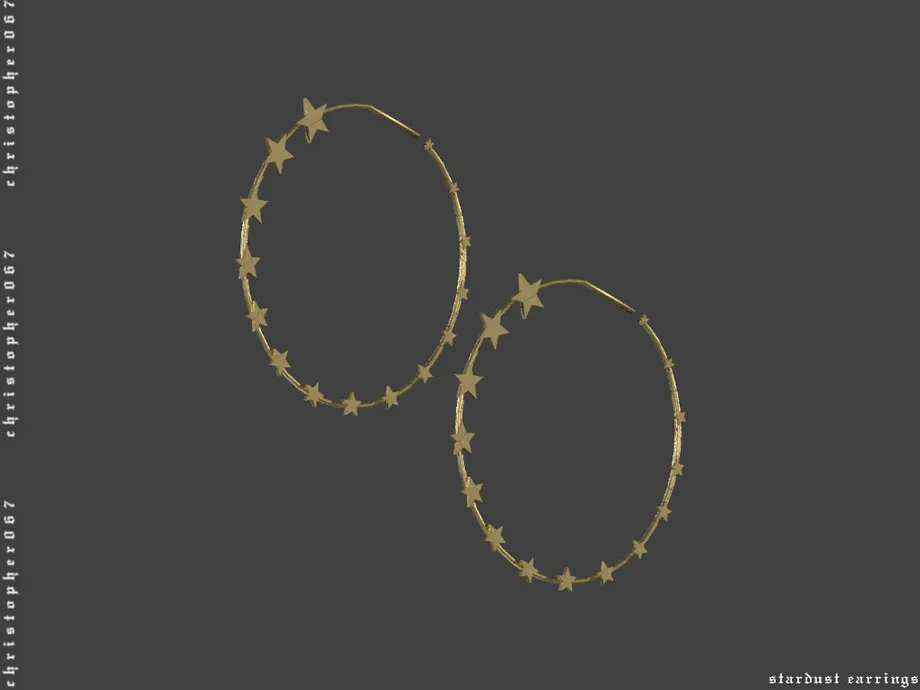 Stardust Earrings / Christopher067