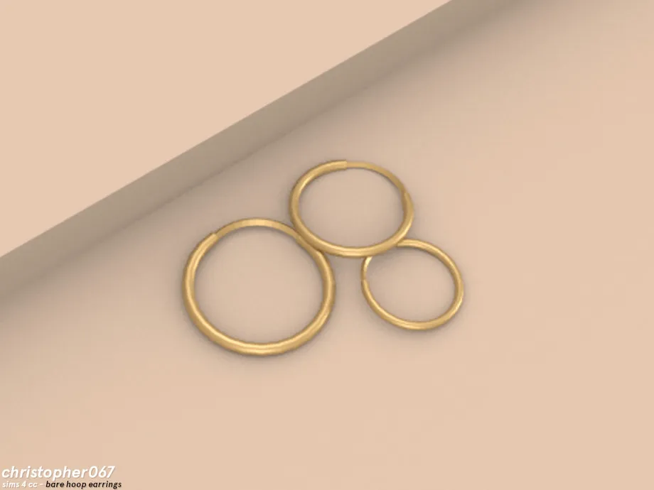 Bare Hoop Earrings / Christopher067