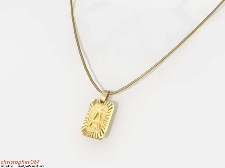 Initial Plate Necklace / Christopher067