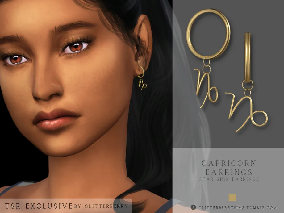 Capricorn Earrings